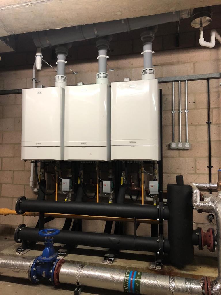 Plant room with boilers, pumps and pipework